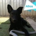 Athos